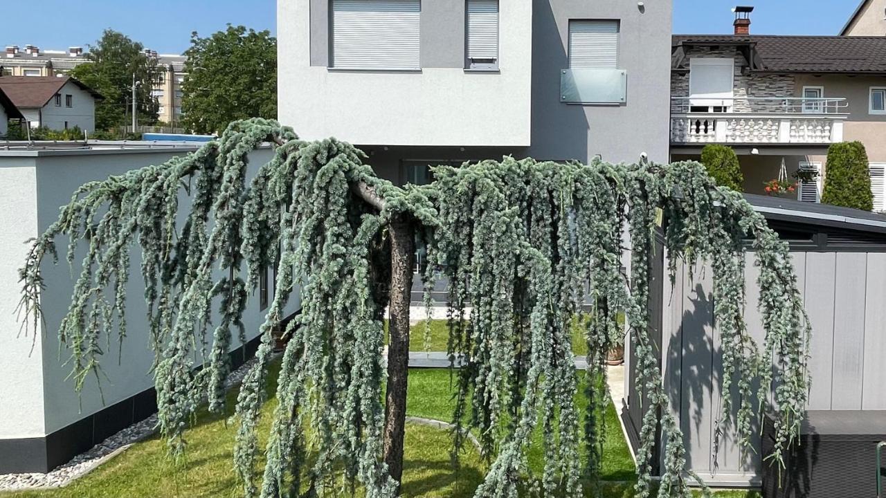Villa Mami Zagreb Exterior photo